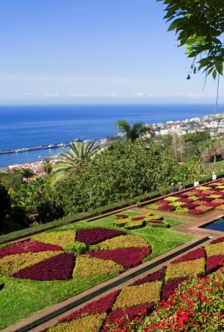 Image of Canary Islands Celebration from Southampton
