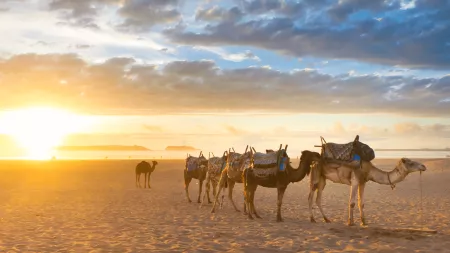 Image of Medinas & Mountains of Moorish Morocco