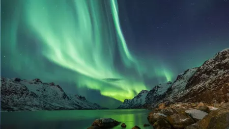 Image of In Search of the Northern Lights